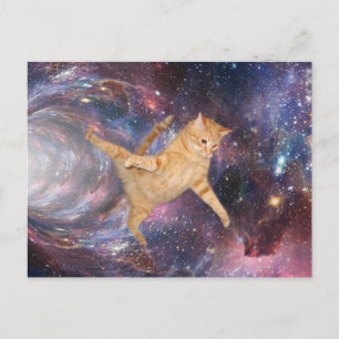Carte Postale Chat drôle dans le trou de ver de la galaxie spati