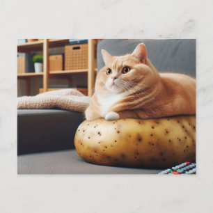 Carte Postale Chat drôle de patate de canapé
