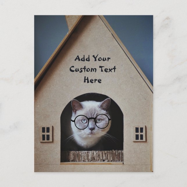 Carte Postale Chat drôle mignon en lunettes Créez votre propre s (Devant)