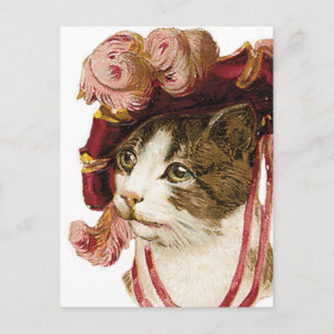 Carte Postale Chat en Casquette victorien