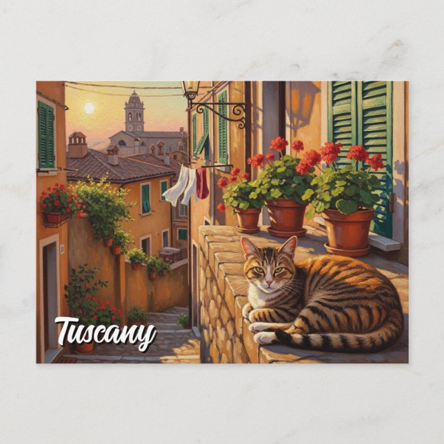 Carte Postale Chat en Toscane Italie (Devant)