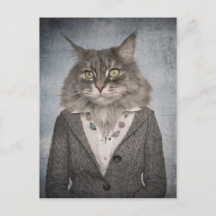 Carte Postale Chat En Vêtements
