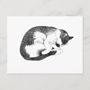 Carte Postale Chat endormi – Rappel doux à se reposer