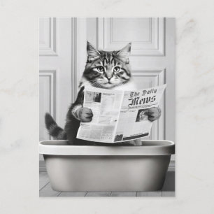 Carte Postale Chat est assis sur la Toilette, chat lire une nouv