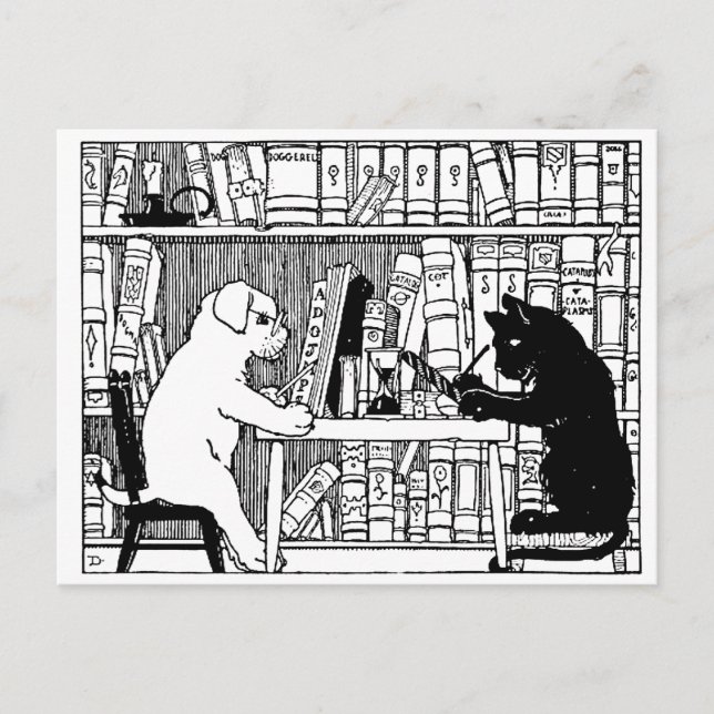 Carte Postale Chat et chien dans la bibliothèque (Devant)