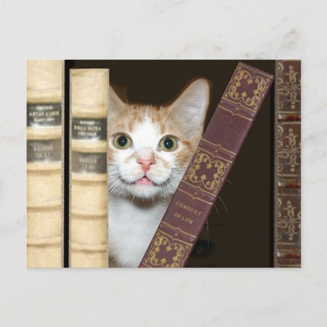 Carte Postale Chat et livres (Devant)