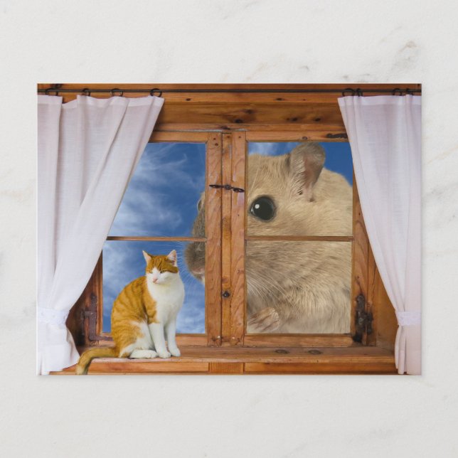 Carte Postale Chat et Souris Drôles (Devant)