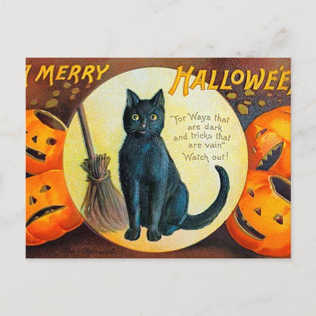 Carte Postale Chat Falln Joyeux Halloween (Devant)