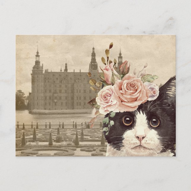 Carte Postale Chat fantaisie & Château (Devant)