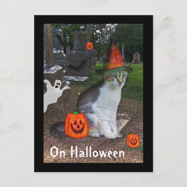 Carte Postale Chat Fantôme (Devant)