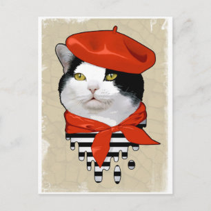 Carte Postale chat. Français
