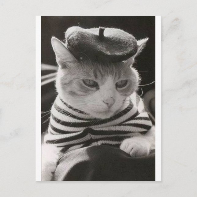 Carte Postale chat français vintage (Devant)