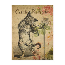 Chat français vintage jouant au violon