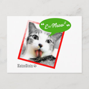 Carte Postale chat futé