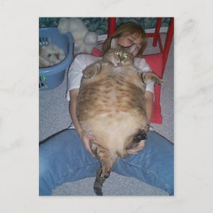 Carte Postale Chat gras moche