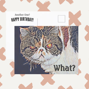 Carte Postale Chat Grincheux Grognon Drôle Anniversaire