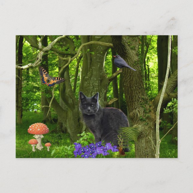 Carte Postale Chat gris dans la forêt (Devant)