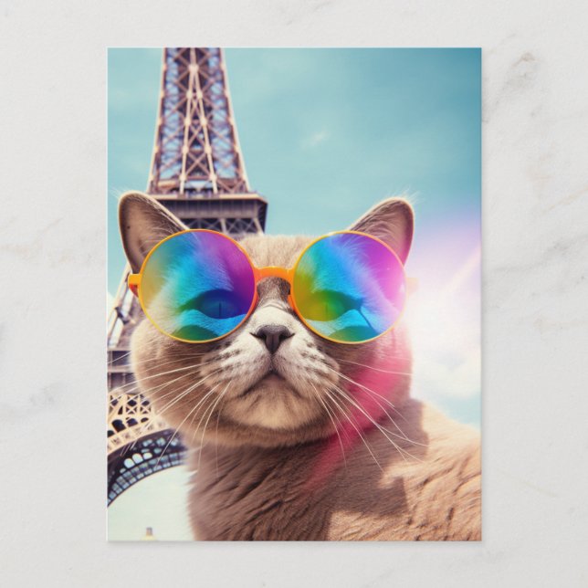 Carte Postale Chat gris en Lunettes de soleil à Paris (Devant)