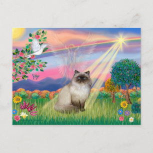 Carte Postale Chat Himalayen pointe chocolat - Ange des nuages