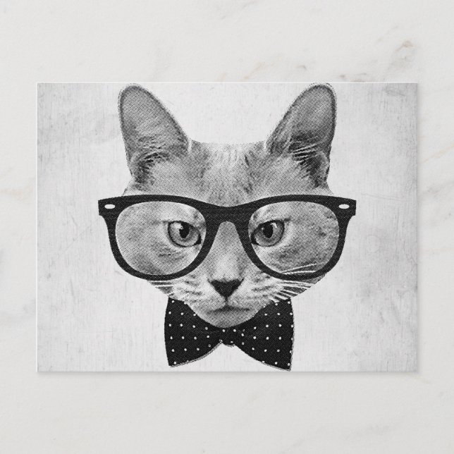 Carte Postale Chat hippique vintage (Devant)