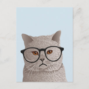 Carte Postale Chat Hipster British Shorthair