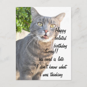 Carte Postale Chat, Joyeux anniversaire tardif_