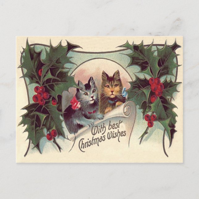 Carte Postale Chat Kitten Holly (Devant)