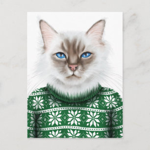 Carte Postale Chat Kitty