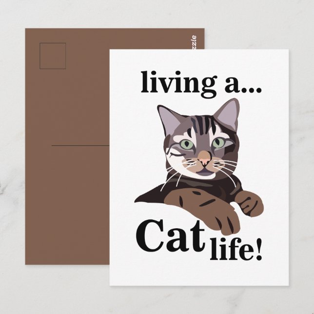 Carte Postale Chat Kitty Drôle (Devant / Derrière)