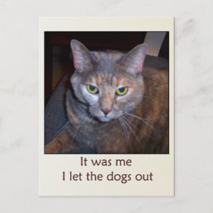 Carte Postale Chat Laissez Les Chiens Sortir