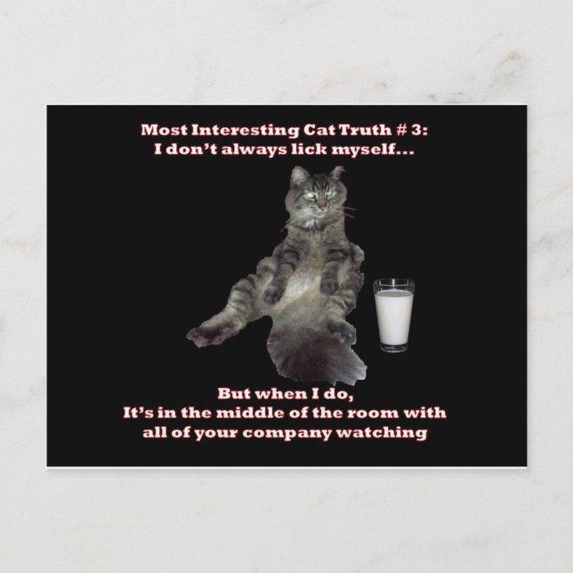 Carte Postale Chat le plus intéressant #3.jpg (Devant)