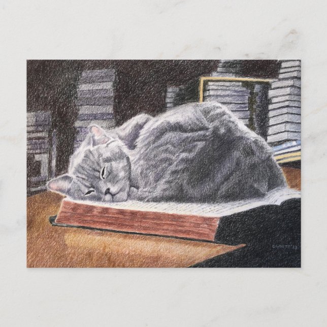 Carte Postale Chat Librairie (Devant)