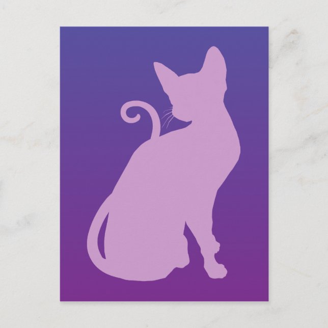 Carte Postale Chat Lilac sur Violet (Devant)