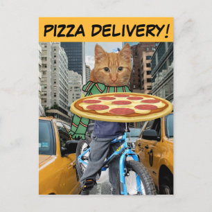 CARTE POSTALE CHAT LIVRAISON DE PIZZA NYC