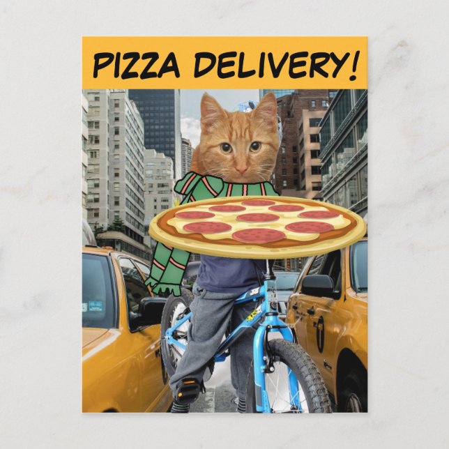 CARTE POSTALE CHAT LIVRAISON DE PIZZA NYC (Devant)