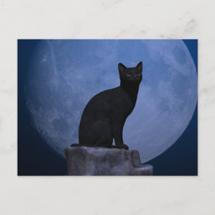 Carte Postale Chat Lune