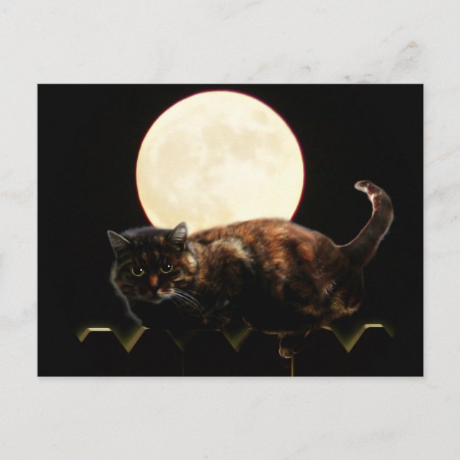Carte Postale Chat Lune sur une clôture avec Pleine lune (Devant)