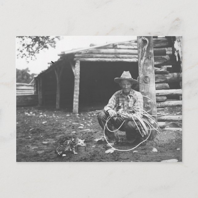 Carte Postale Chat mangeant dans une boîte de café (Devant)
