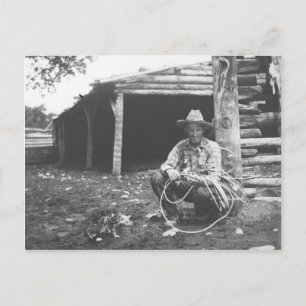 Carte Postale Chat mangeant dans une boîte de café