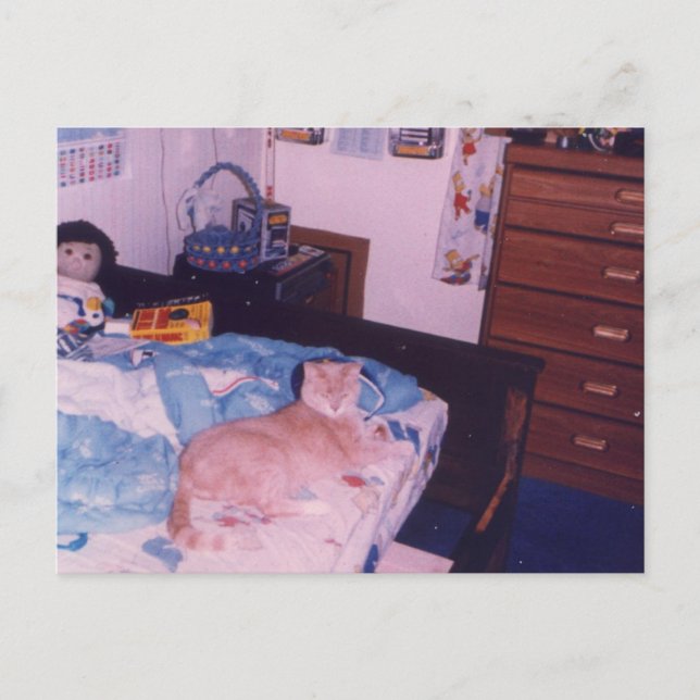 Carte Postale Chat mellow sur un lit (Devant)