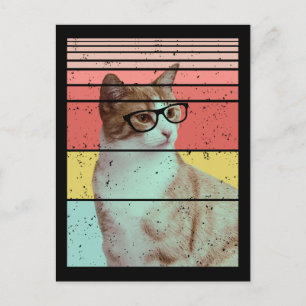 CARTE POSTALE CHAT MIGNON DRÔLE TENDANCE VINTAGE