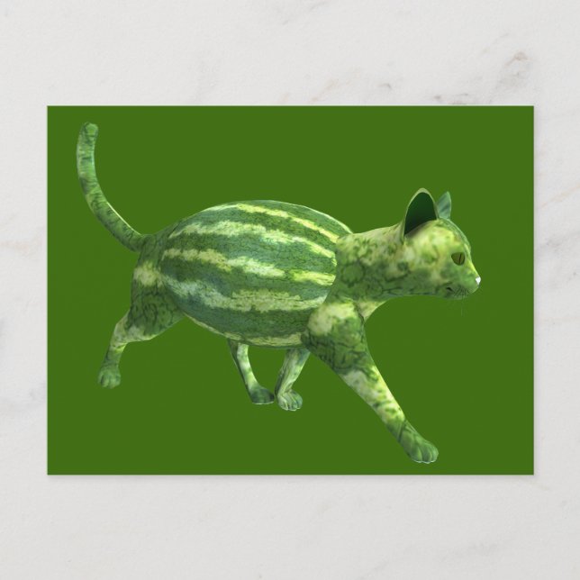 Carte Postale Chat national de la journée de la pastèque (Devant)