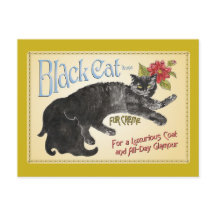 Chat noir