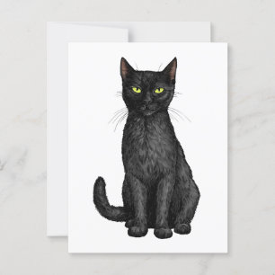 Carte Postale chat noir