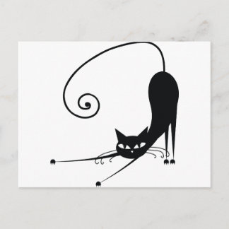 Carte Postale Chat noir