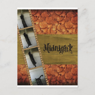 Carte Postale Chat noir