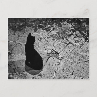 Carte Postale Chat noir