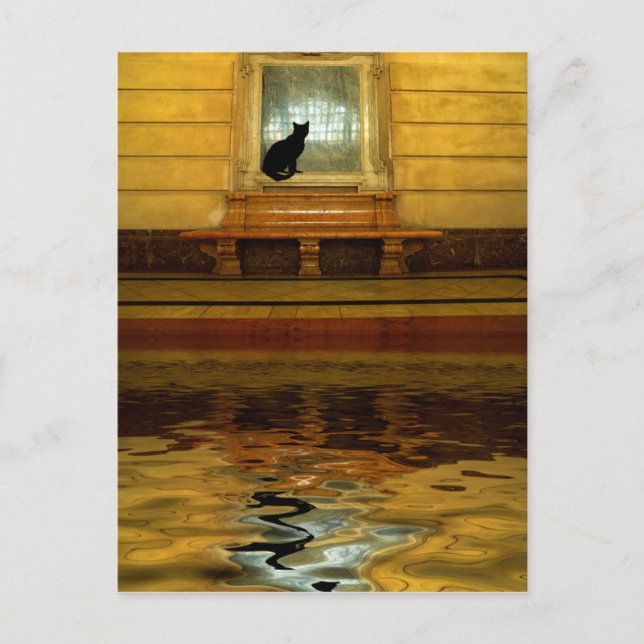 Carte Postale Chat noir au-dessus de l'eau (Devant)