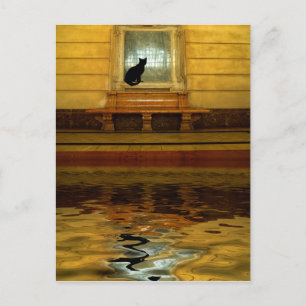 Carte Postale Chat noir au-dessus de l'eau