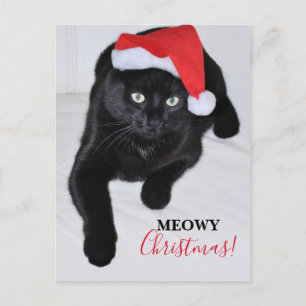Carte Postale Chat noir avec chapeau de Père Noël Rouge